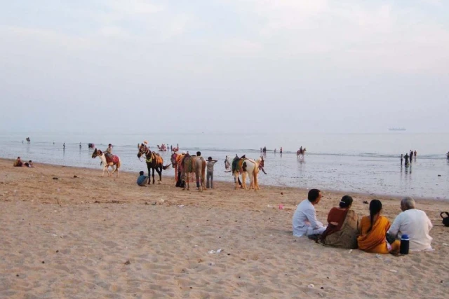 Wildlife & Beach of Gujarat: Gir with Diu Tour