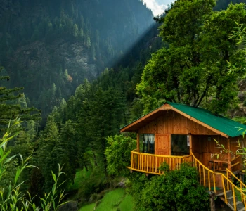 Jibhi Tirthan Valley Family Tour Package