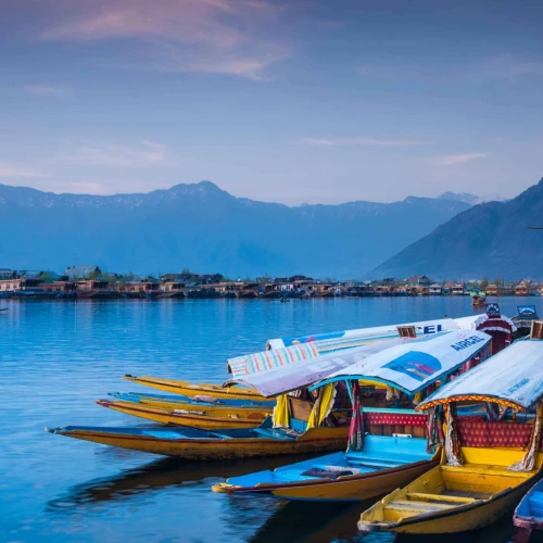 Kashmir