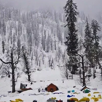 Paradise Kashmir Family Tour Package