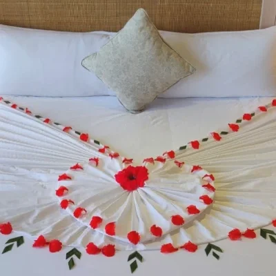 Dreamy Kashmir Vacation Honeymoon Tour Package