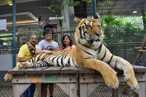 Fully loaded Bangkok and Pattaya tour