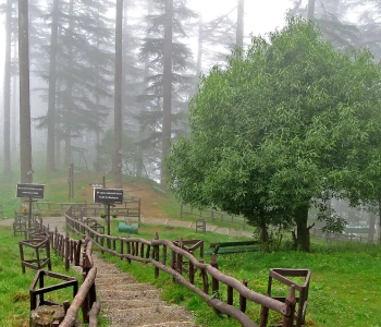 Mussoorie & Dhanaulti Tour Package