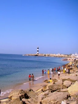 Wildlife and Beach Of Gujarat