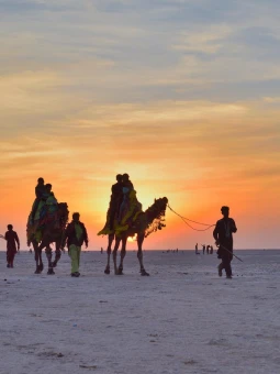 Kutch With Sasan Gir Tour