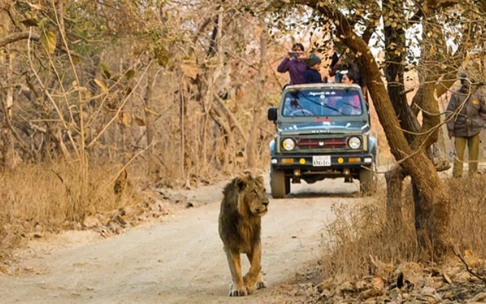 Gujarat