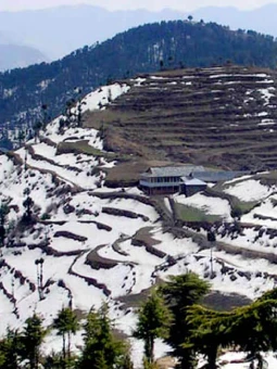 Shimla Kufri Volvo Tour Package