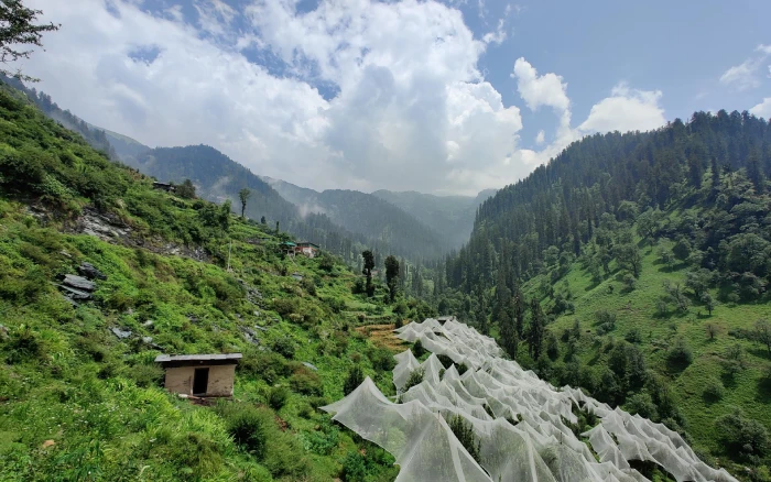 Himachal