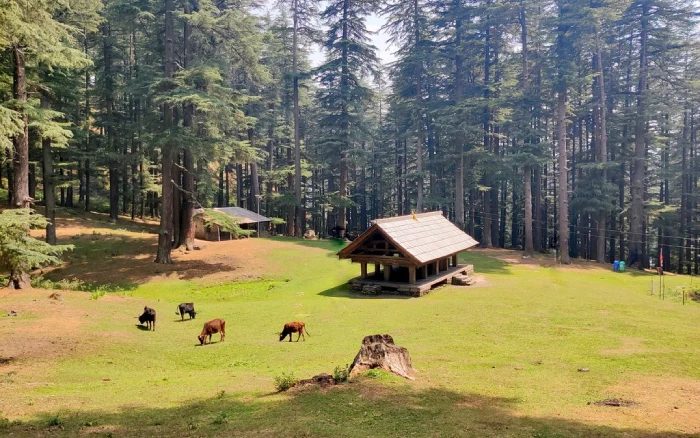 Himachal