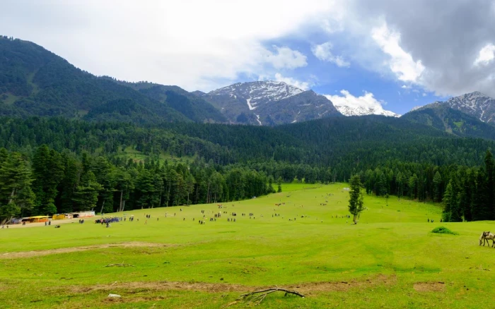 Kashmir
