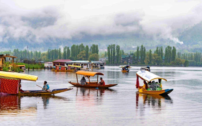 Kashmir