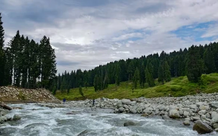 Kashmir