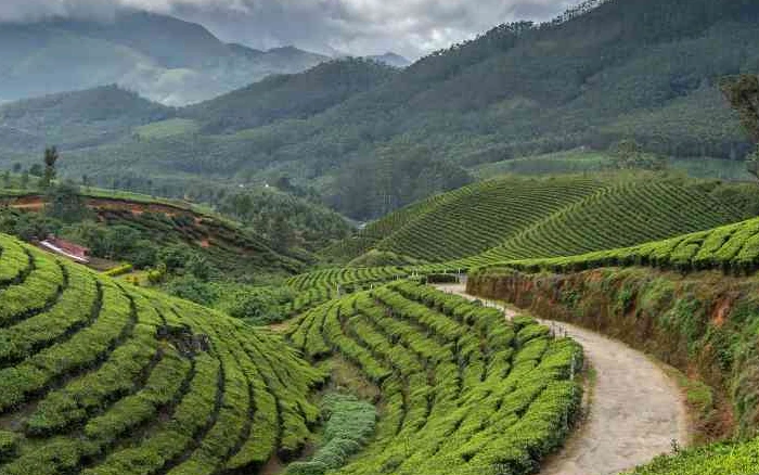 Kerala