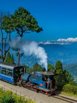 Darjeeling Honeymoon Tour Package